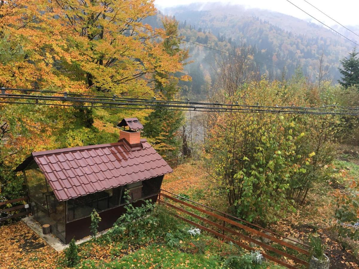 Mini-Hotel Serpanok Микуличин Экстерьер фото